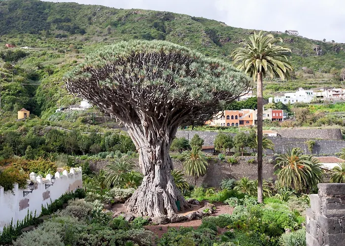 Tenohomes Spacious Ocean Escape, Icod De Vinos *