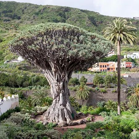 Tenohomes Scenic Ocean View Stay, North Tenerife *